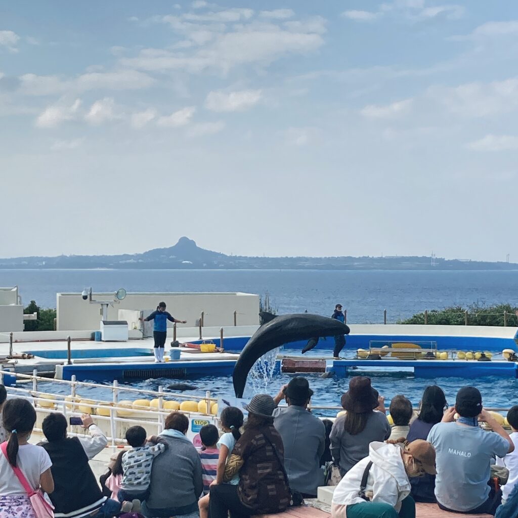 美ら海水族館のイルカショー