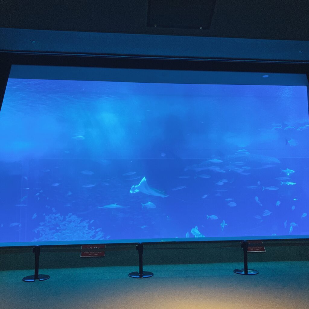 美ら海水族館