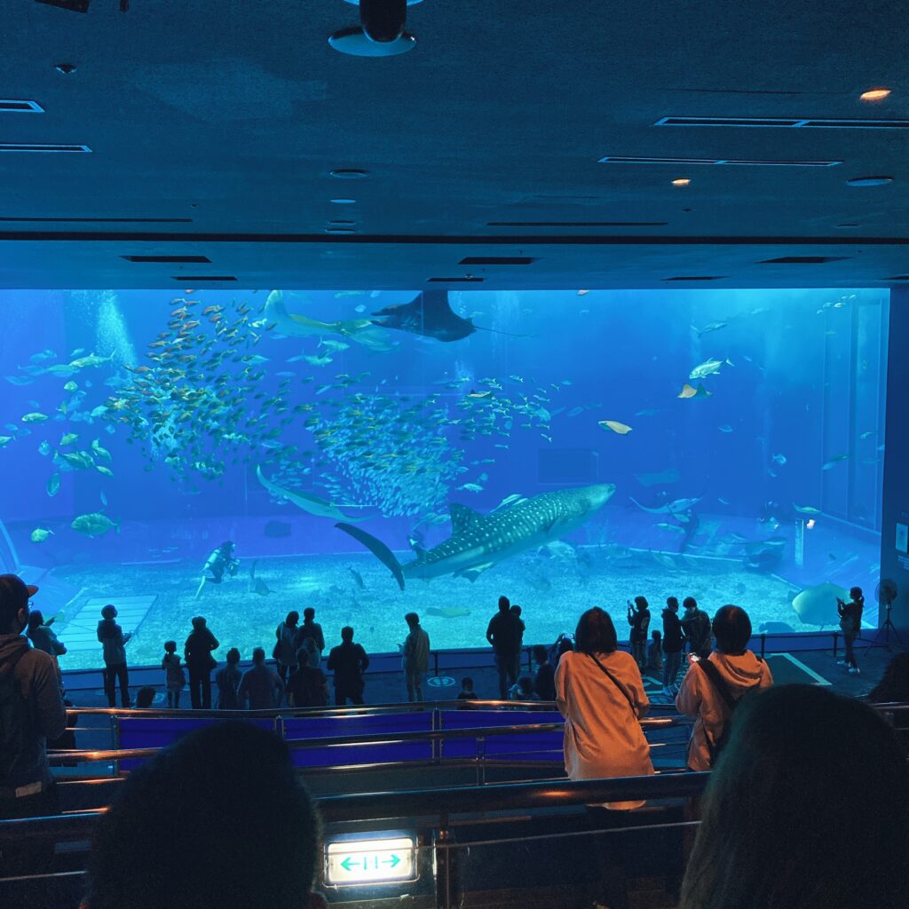 美ら海水族館大水槽