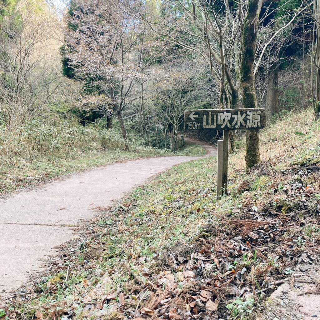 山吹水源の山道