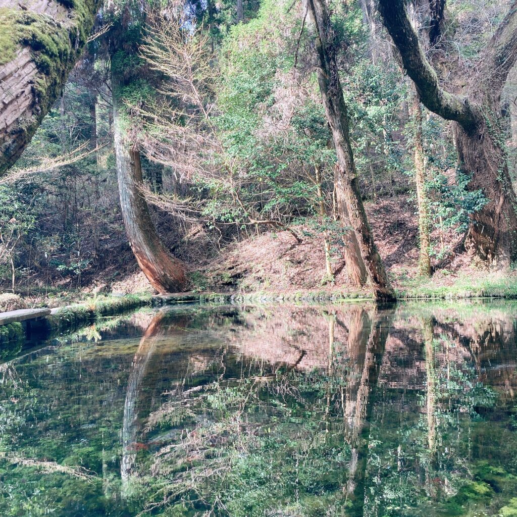 山吹水源の山道