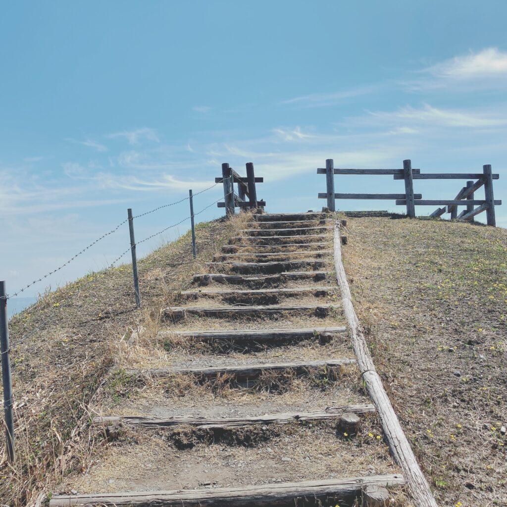 西湯浦園地の階段