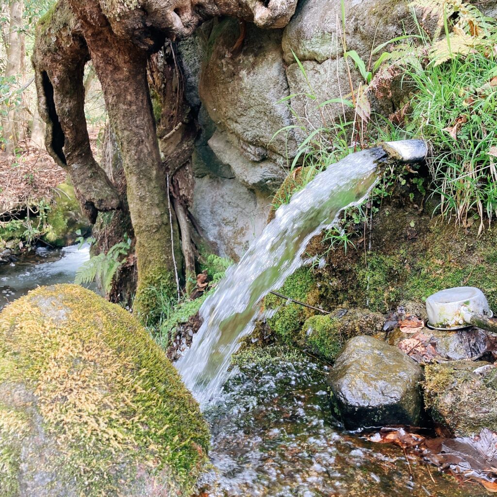 山吹水源の水汲み場