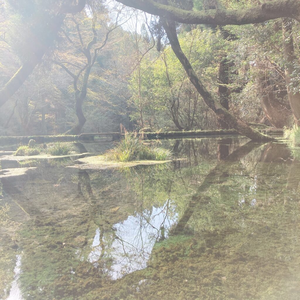 山吹水源 大自然に囲まれて 綺麗な水面と森林浴に癒される1日