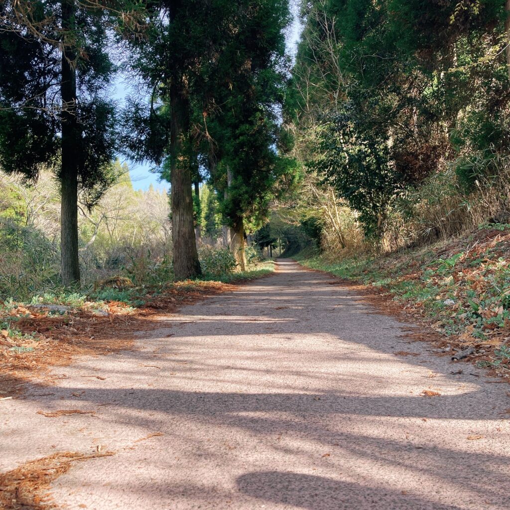 山吹水源の山道